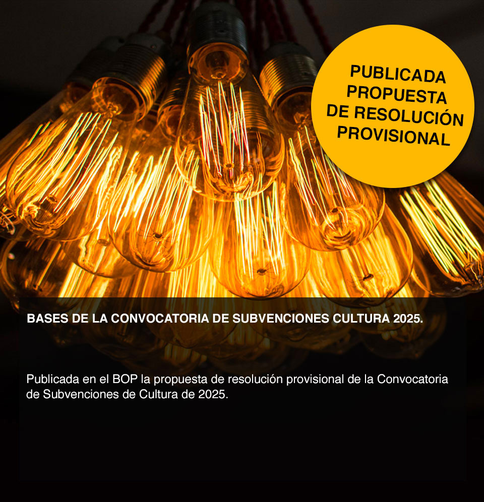 Subvenciones25-propuesta-resolucion-provisional-bannerdoble