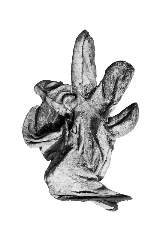 guante_expo_02_90x60