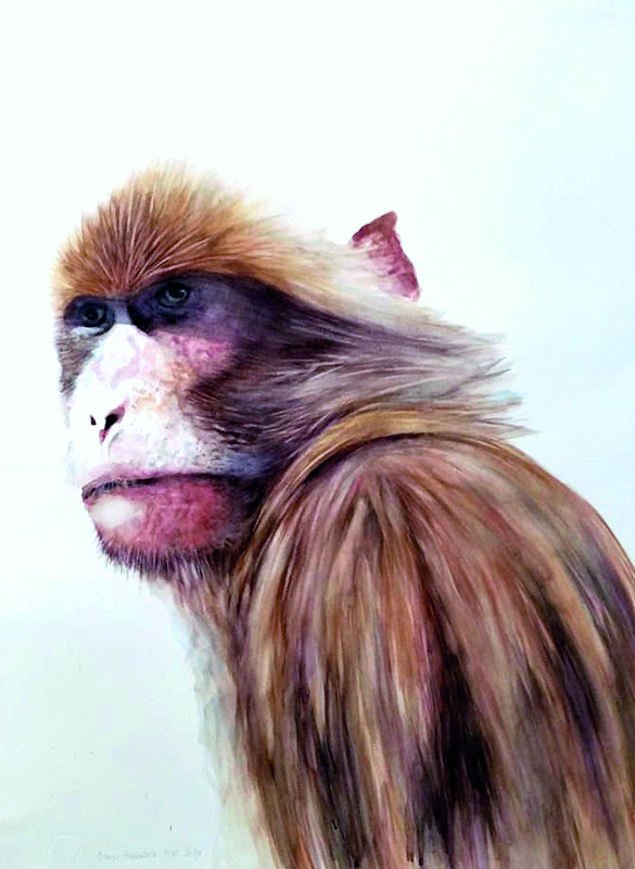 Monkey man