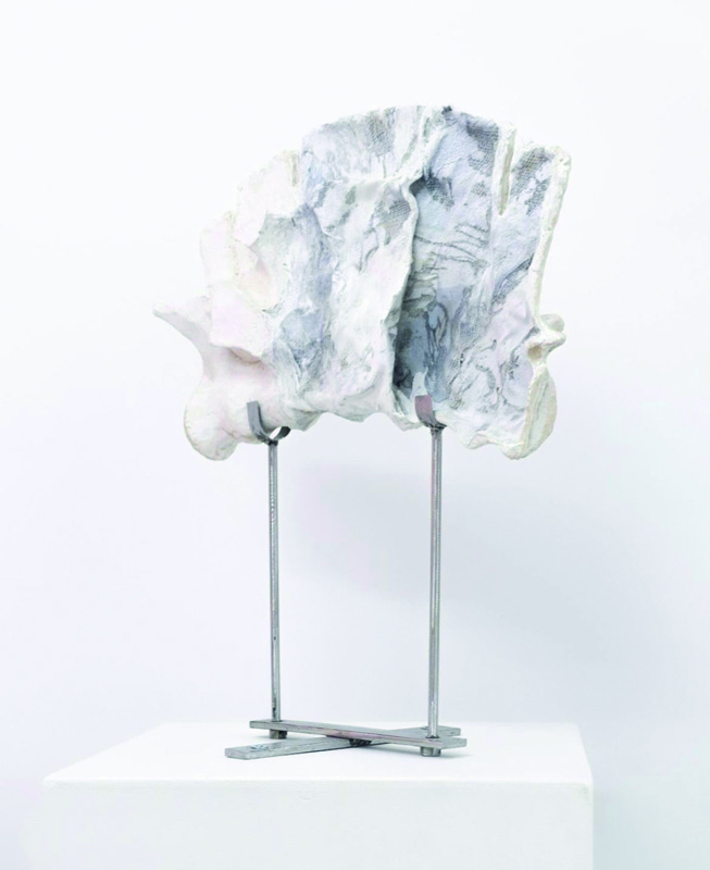 Vertebra