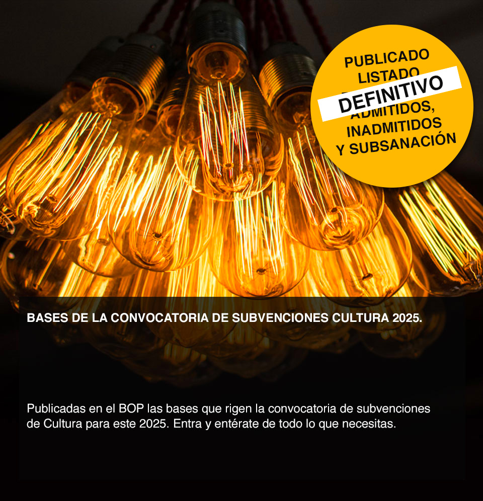 Subvenciones25-definitivo-bannerdoble