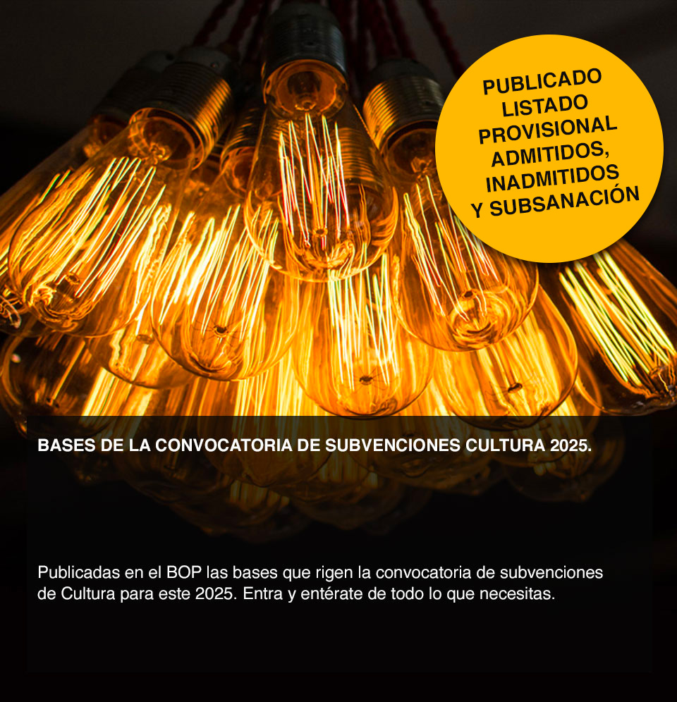Subvenciones 2025 - Listado provisional
