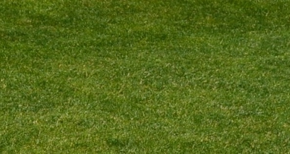 Cabecera Copa Diputación