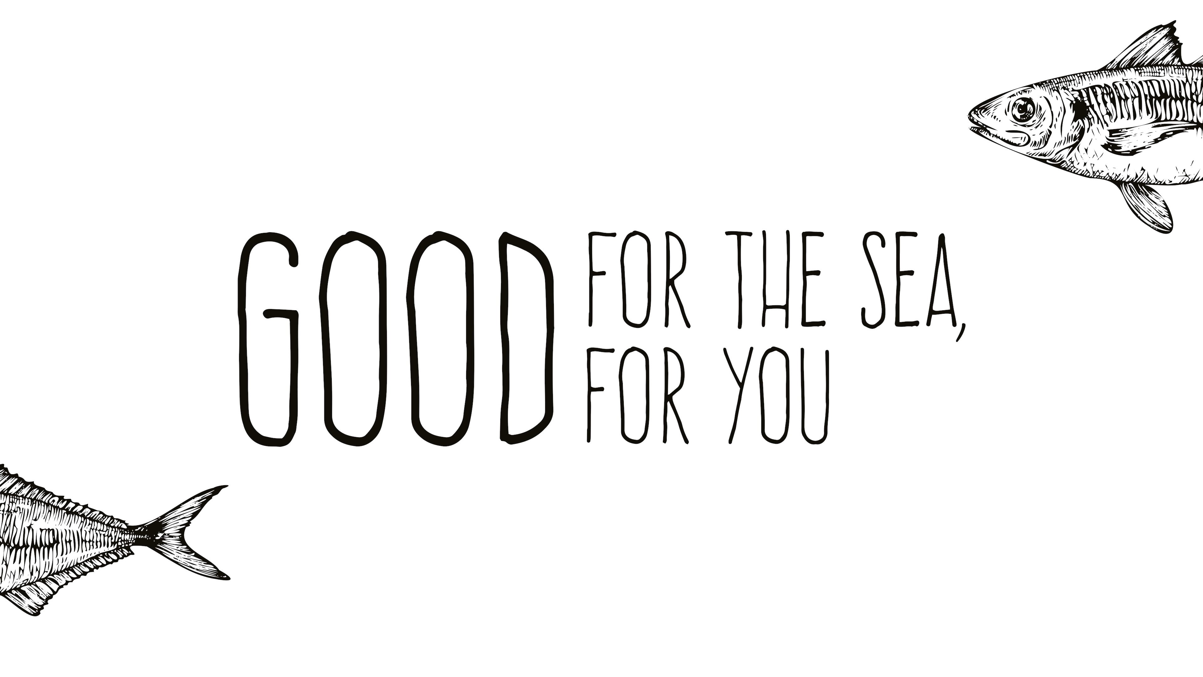 Logos video Aquafish 5