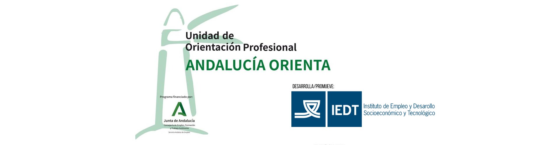 Unidad de Orientación Profesional Andalucía Orienta. Desarrolla y promueve el IEDT de la Diputación de Cádiz