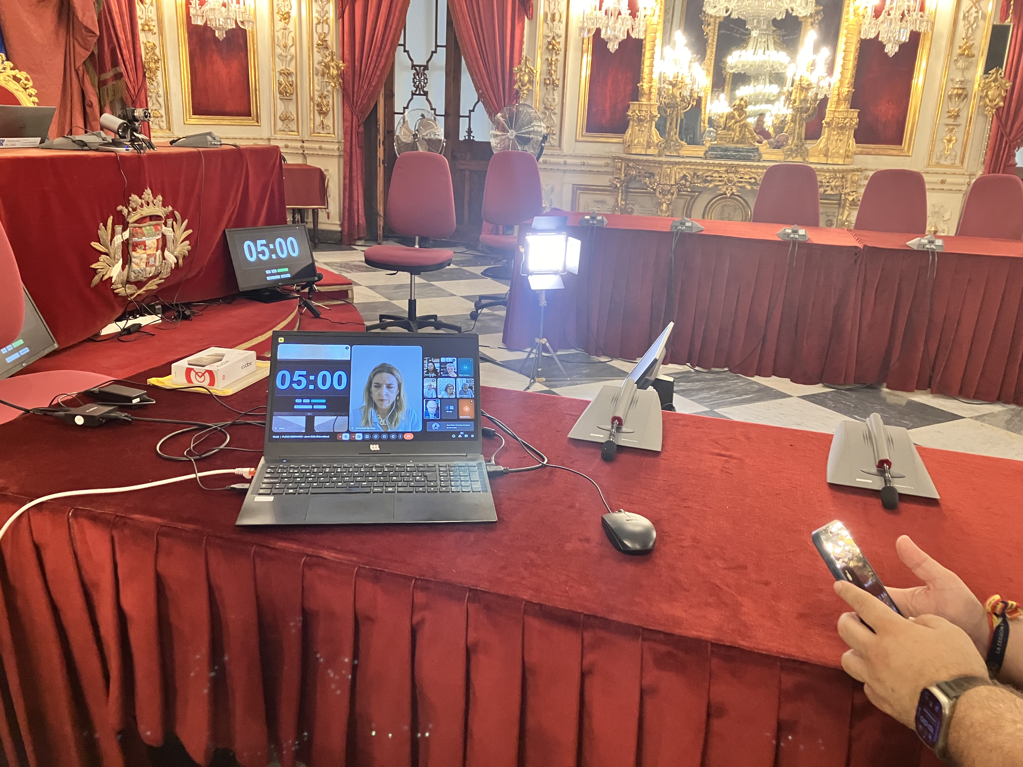 Pleno telemático