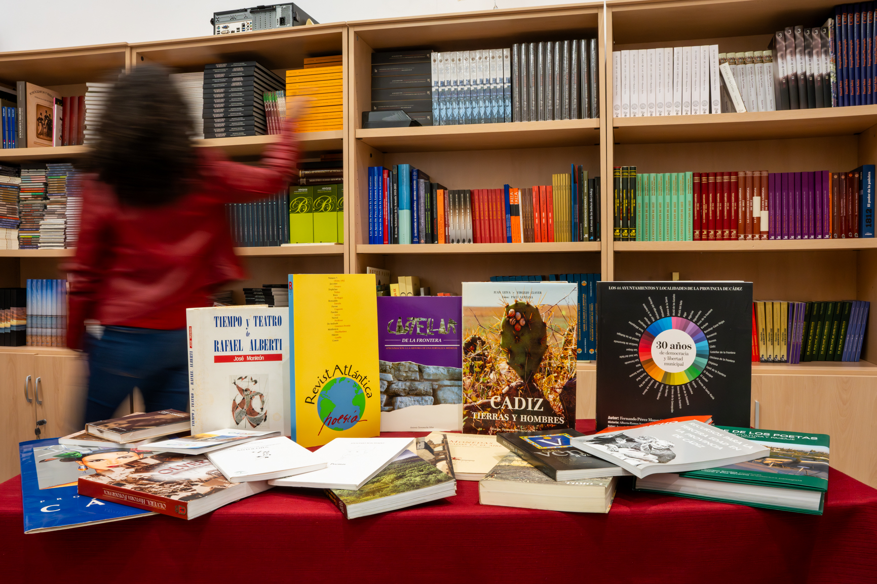 Adopta un libro Diputación (3)