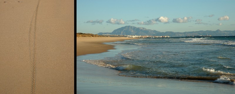 45_Rueda_playa_los_lances