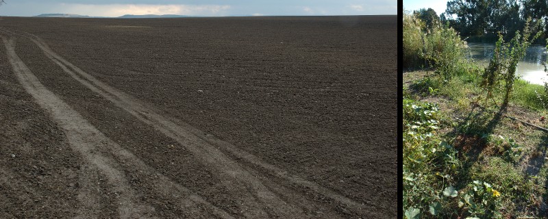 48_Camino_seco_huerto_rio