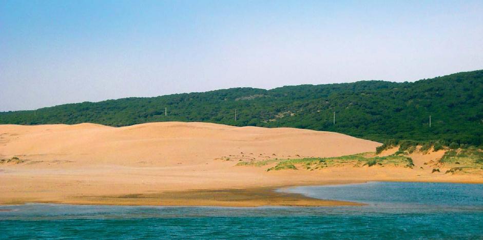 DunaMovil_PuntaPaloma