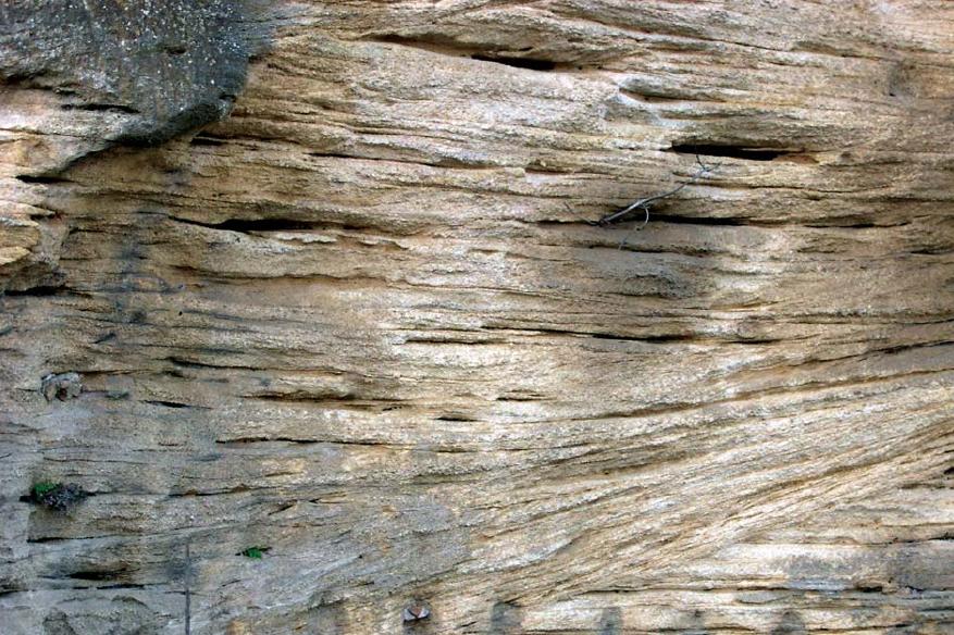 LaminacionesCruzadasBiocalcarenitas_Vejer