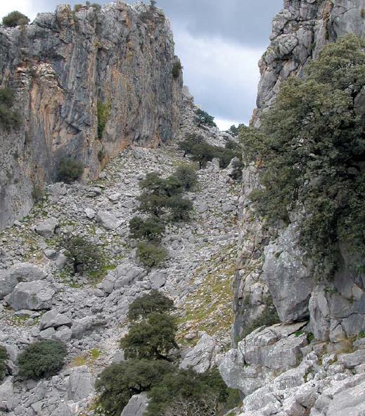 SaltoCabrero_SierraEndrinal