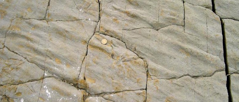 Turbiditas_PuntaCarnero