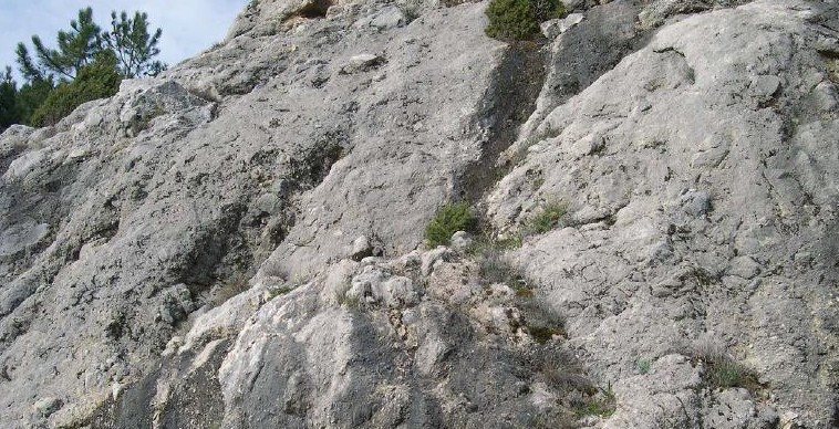 Litosoles_SierraGrazalema