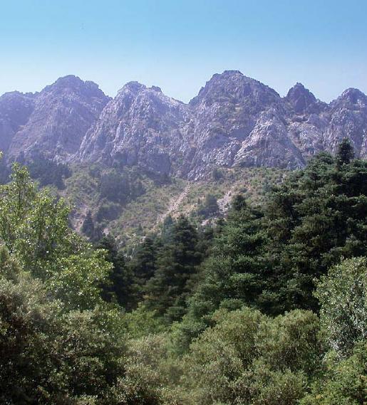 SierradelPinar_Serrania