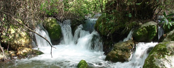 Rio MajaceiteMLimon