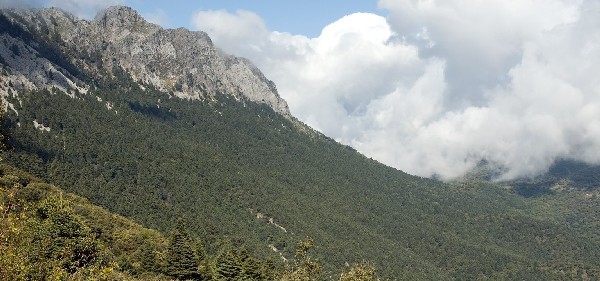 sierra del pinar -Pedro Sanchez
