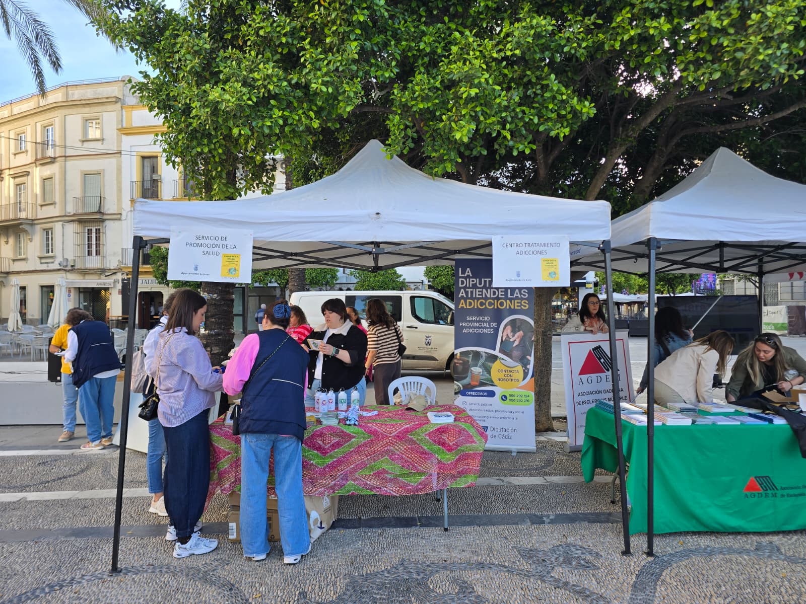 feria de la salud